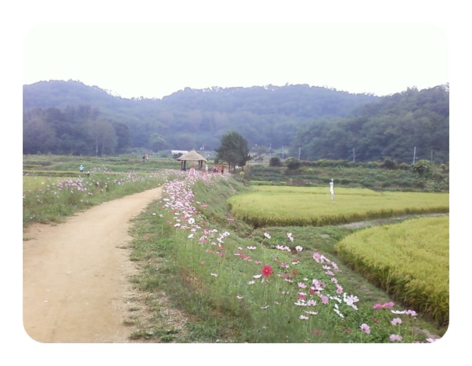 사진090925_5.jpg