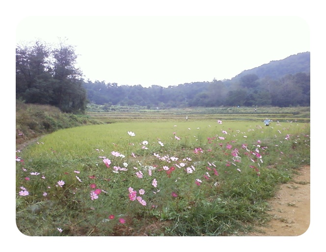 사진090925_6.jpg