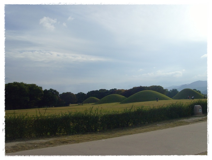 문수산 124.jpg