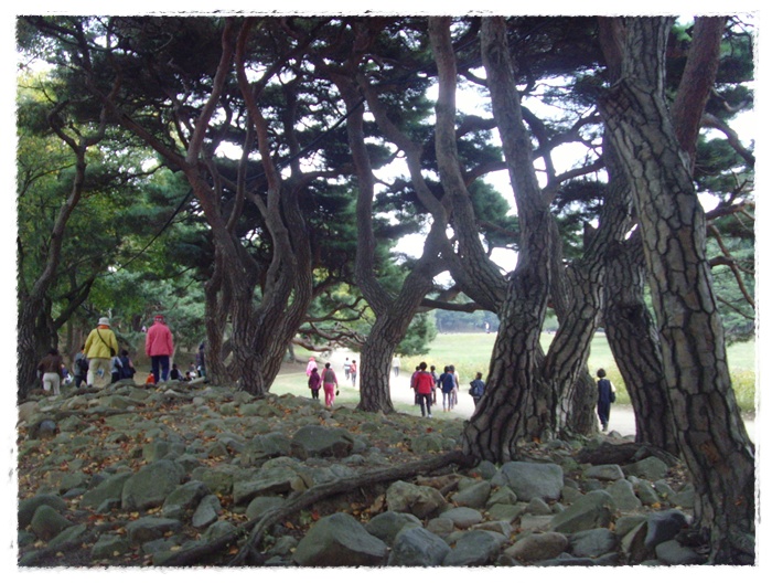 문수산 128.jpg