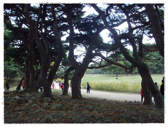 문수산 129.jpg