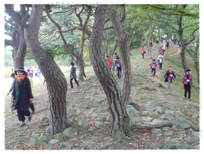 문수산 130.jpg