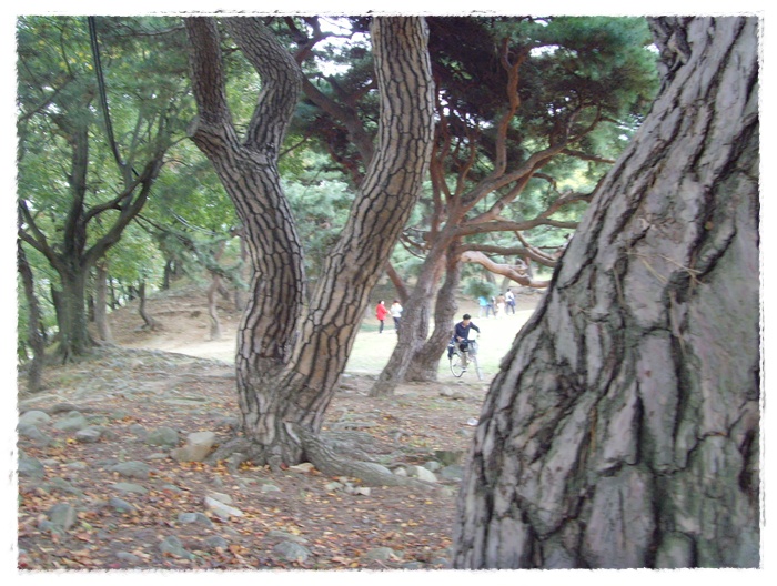 문수산 131.jpg