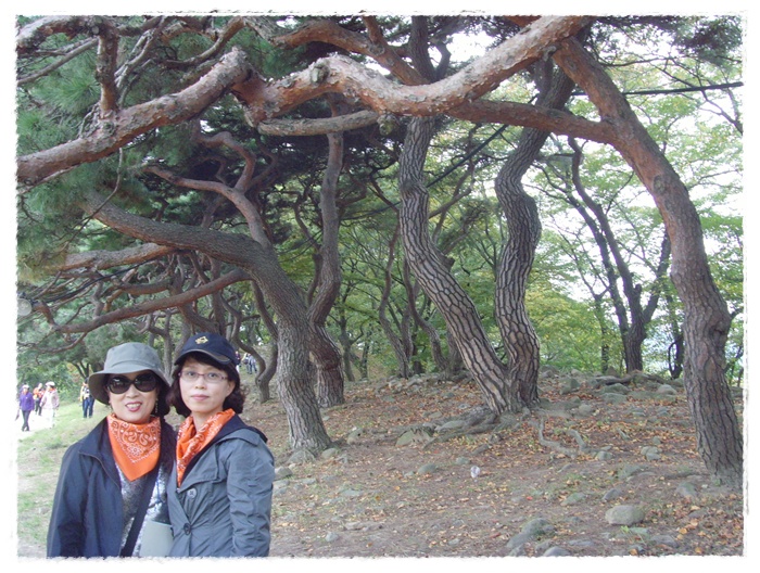 문수산 132.jpg