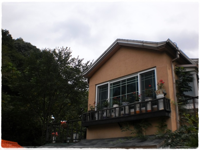 태시산 081.jpg