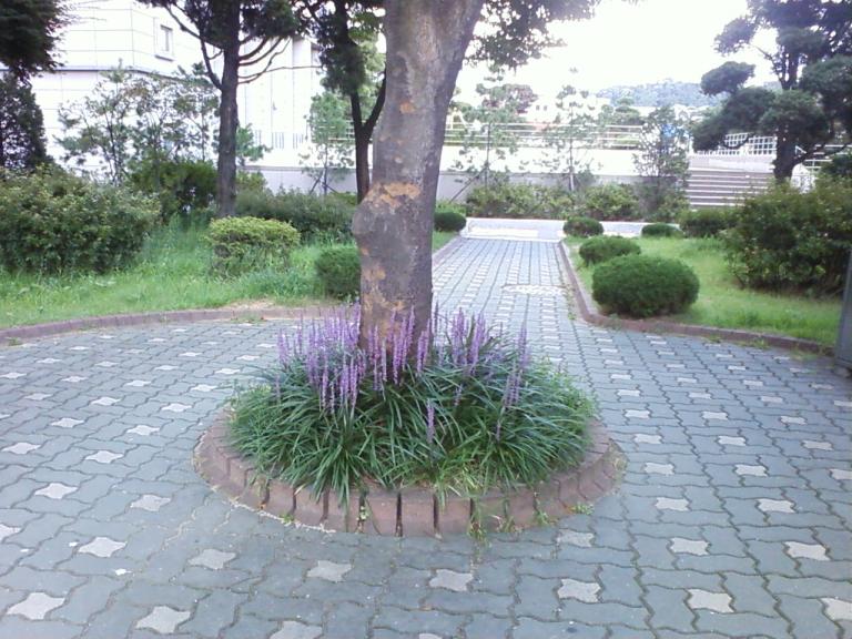 사진090809_31.jpg 사진090809_31.jpg