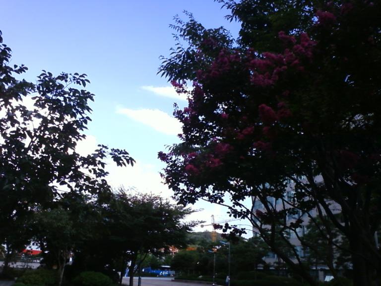 사진090809_34.jpg 사진090809_34.jpg