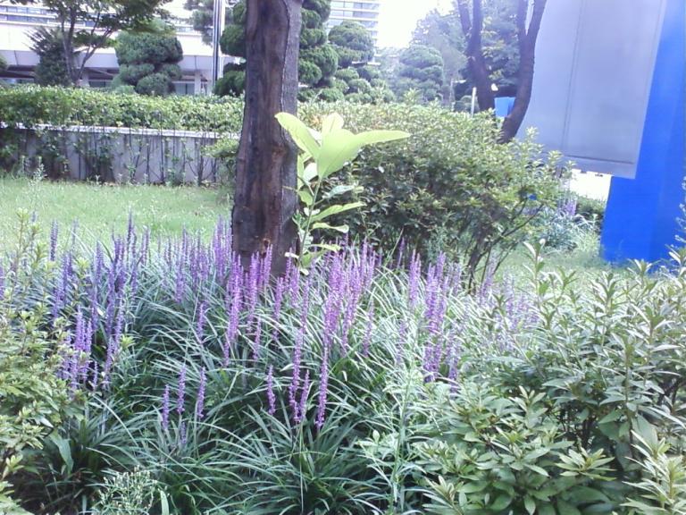 사진090809_35.jpg 사진090809_35.jpg