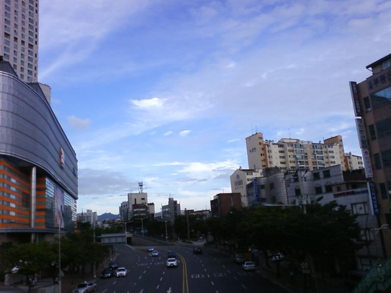 사진090810_1.jpg 사진090810_1.jpg