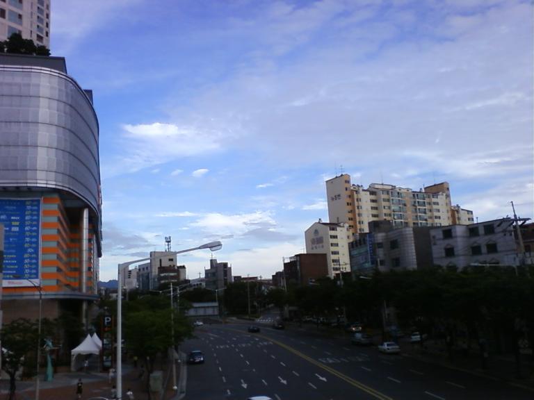 사진090810_2.jpg 사진090810_2.jpg