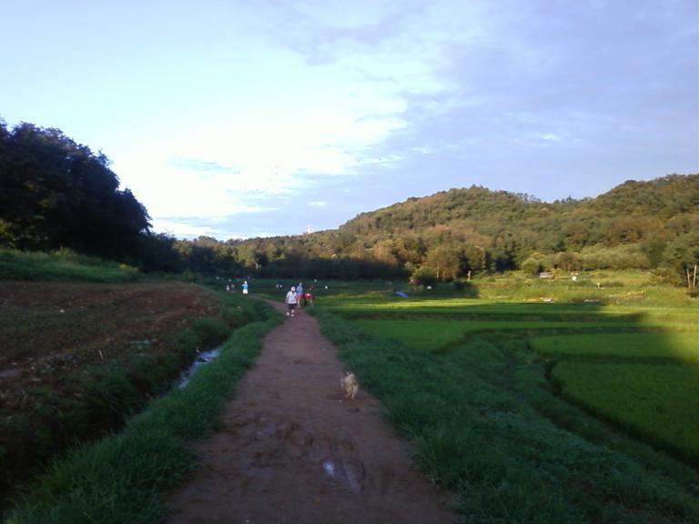 사진090812_5.jpg 사진090812_5.jpg