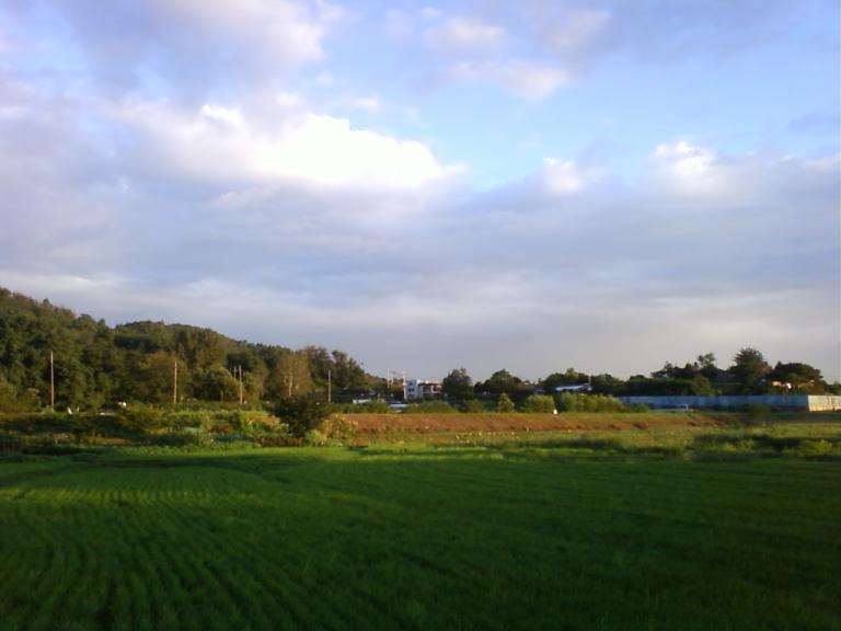 사진090812_9.jpg 사진090812_9.jpg