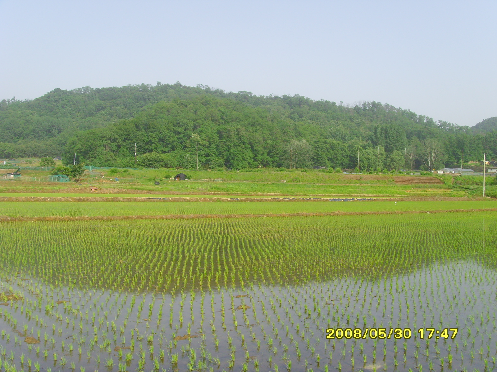 2008.5.30 163.jpg 2008.5.30 163.jpg