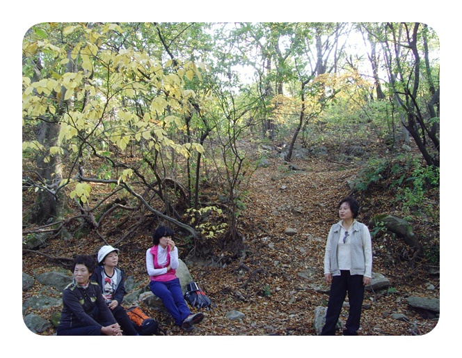 SNV38135.JPG