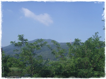 SNV30240.JPG
