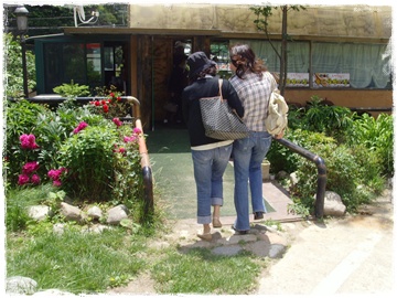 SNV30249.JPG