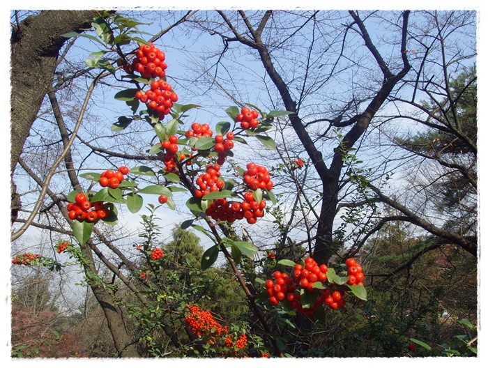 현충원 017.jpg