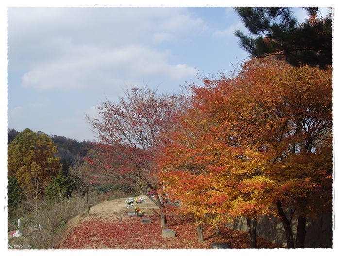 현충원 028.jpg
