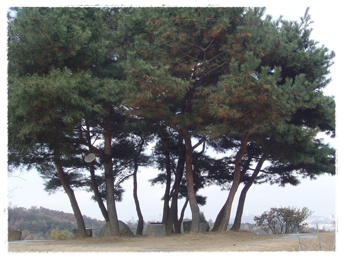 현충원 035.jpg