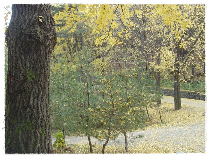 현충원 056.jpg