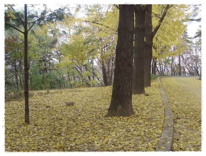 현충원 061.jpg