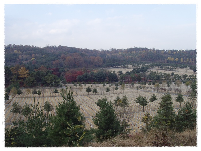현충원 074.jpg