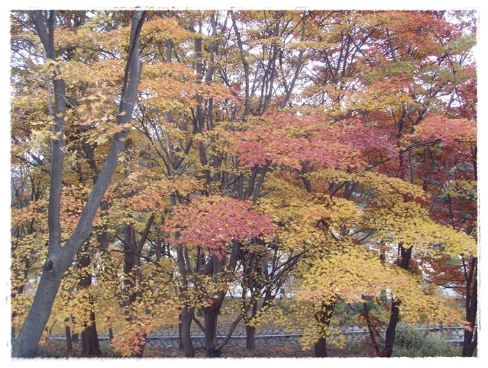 현충원 122.jpg