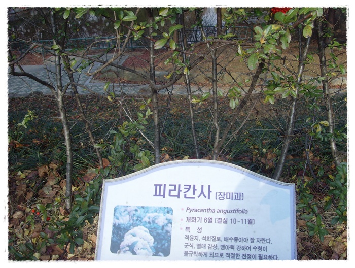 현충원 020.jpg