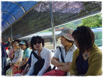 SNV30278.JPG