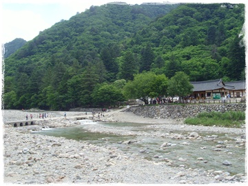 SNV30287.JPG