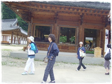 SNV30300.JPG