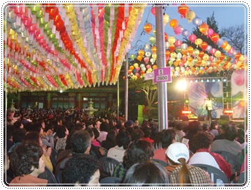 SNV39980.JPG