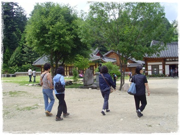 SNV30307.JPG