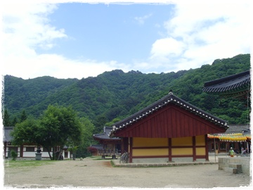 SNV30333.JPG