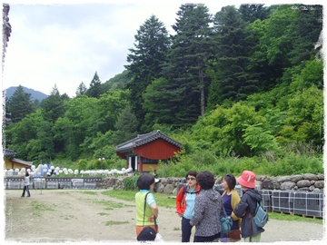 SNV30334.JPG