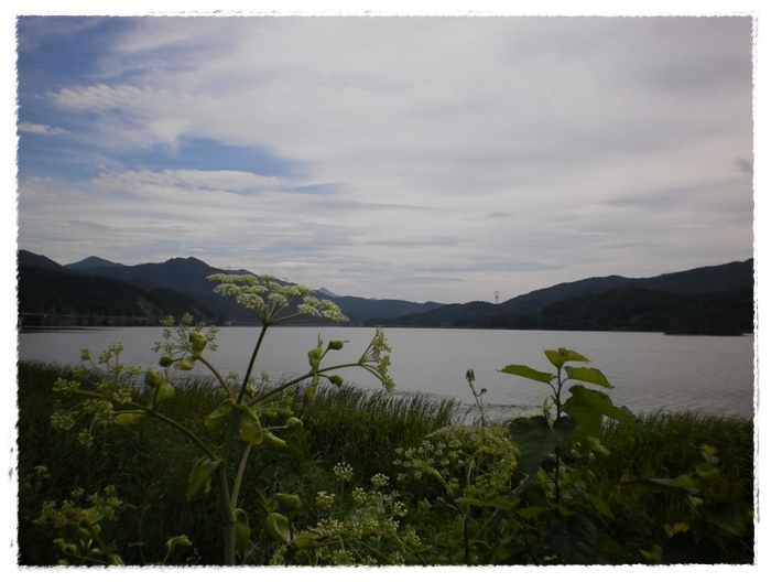 P8070188[1].jpg