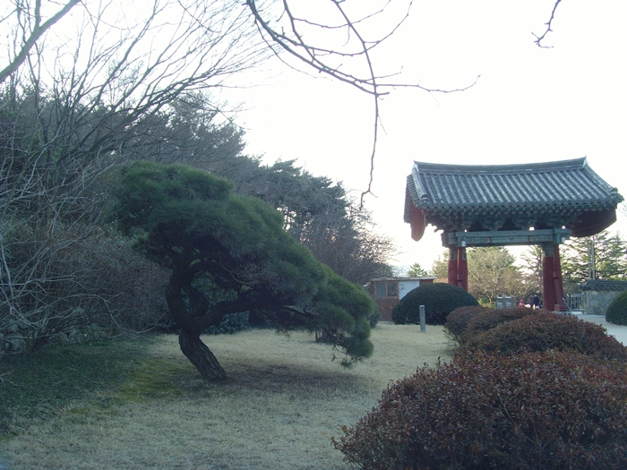 경주 1.26 154.jpg