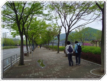 SNV39820.JPG
