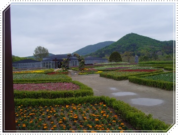 SNV39821.JPG