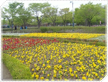 SNV39825.JPG