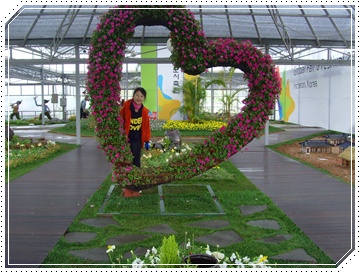 SNV39830.JPG