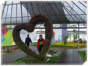 SNV39839.JPG