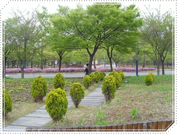 SNV39840.JPG