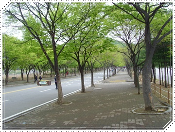 SNV39842.JPG