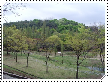 SNV39853.JPG