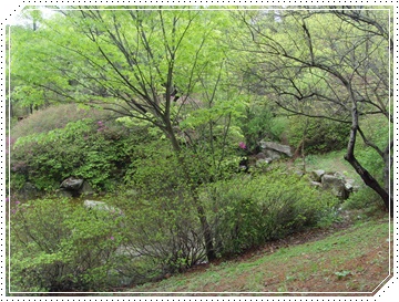 SNV39859.JPG
