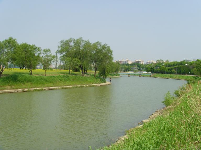 SNV33910.JPG