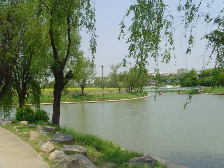 SNV33915.JPG