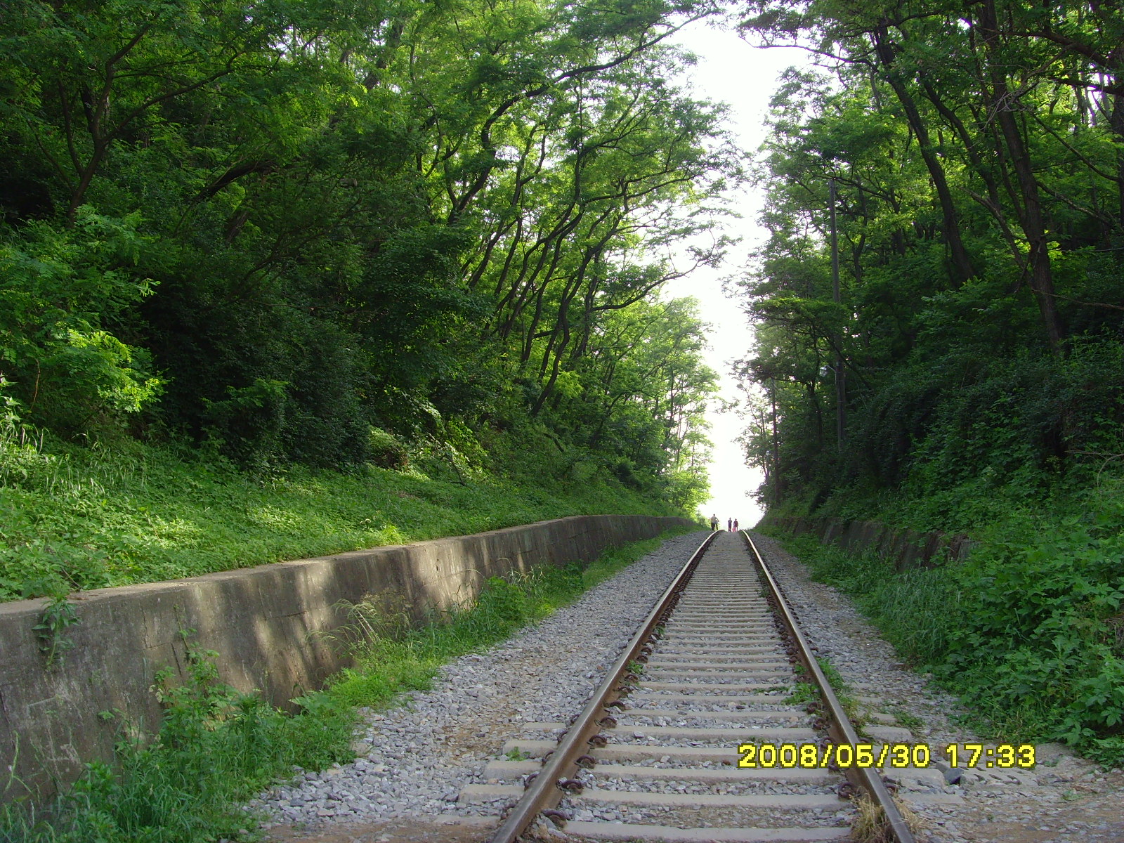 2008.5.30 151.jpg 2008.5.30 151.jpg