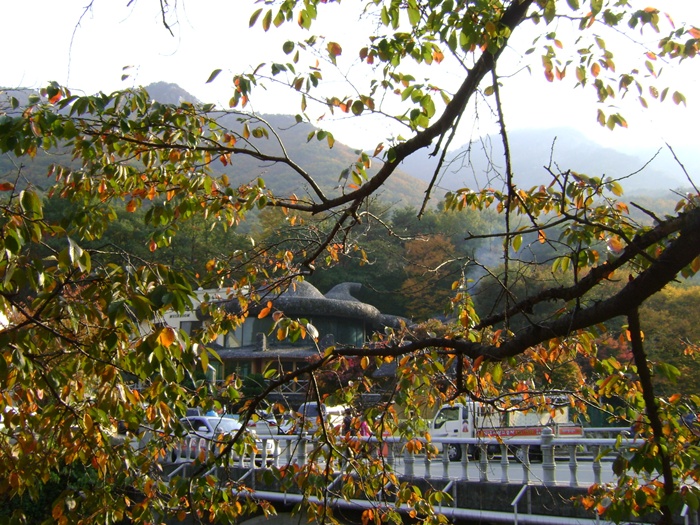 긴축DSC00408-20091017.JPG